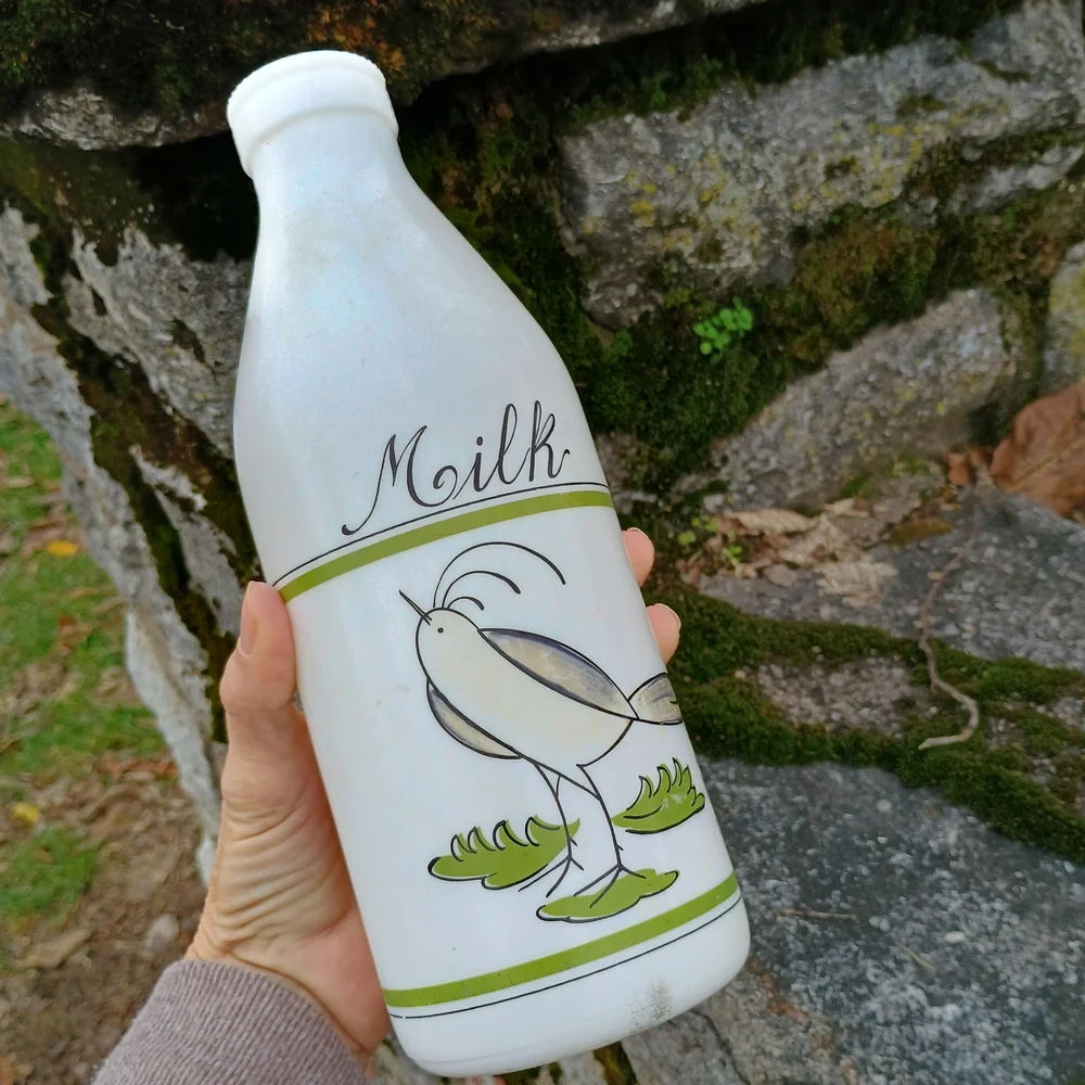 VTG Eqizia white glass quart size milk bottle, bird decor, whimsical decor